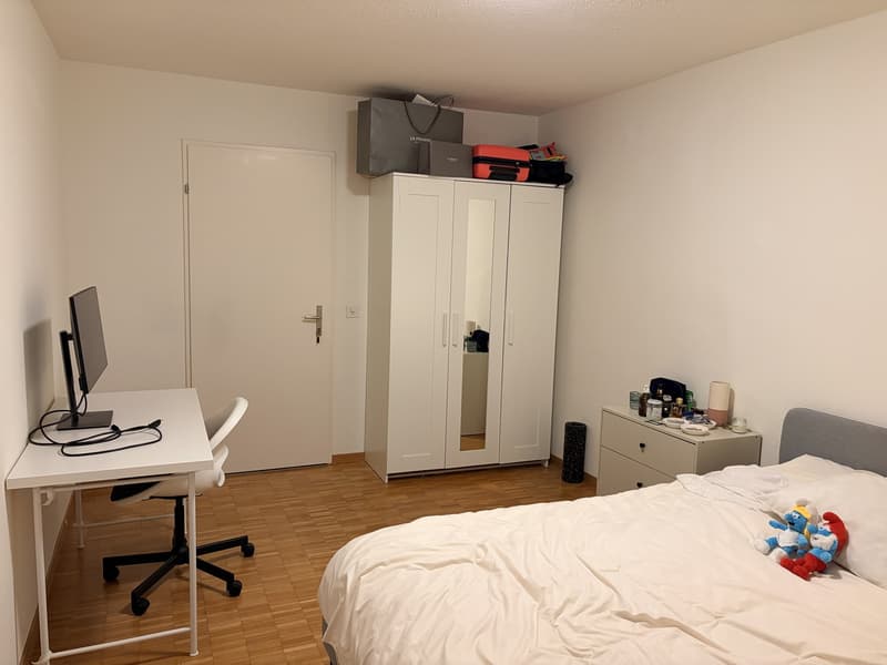 Room in shared apartment - 14.7 m2 (3)