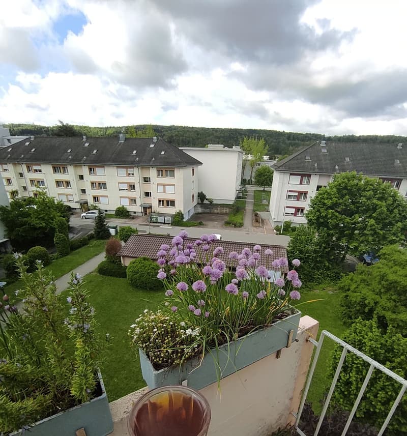 Helles WG-Zimmer in Dübendorf CHF 800 (5)