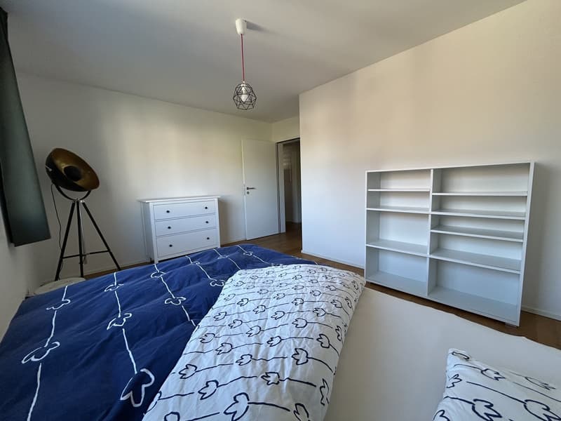Grosszügiges Zimmer in 5.5-Zimmer-Wohnung in Ruswil (3)