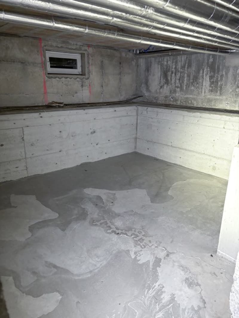Lagerräume in Adliswil für Privat/Gewerbe ab 200. (2)