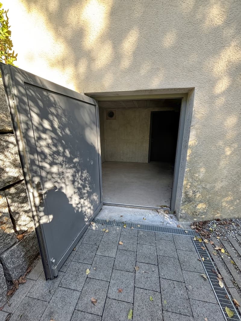 Lagerräume in Adliswil für Privat/Gewerbe ab 200. (4)