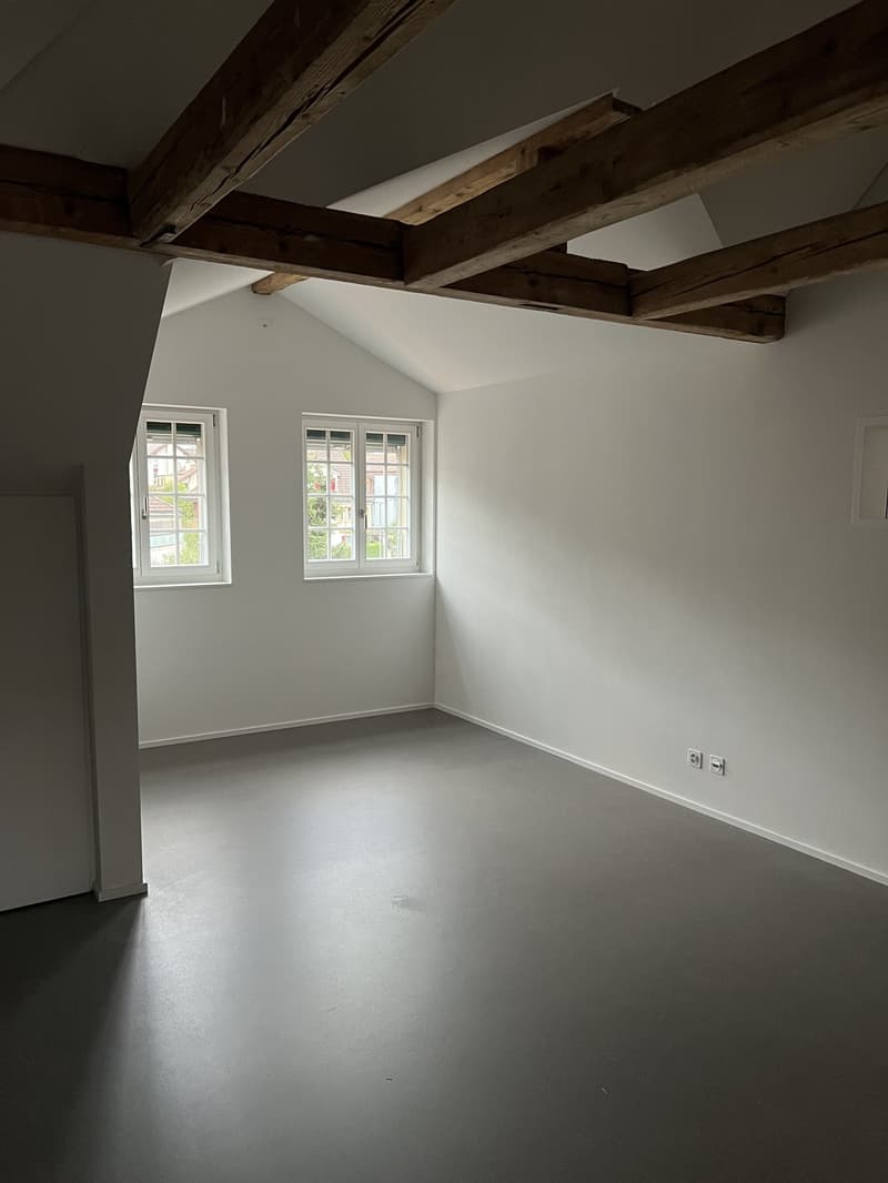 Chambre colocation / WG-Zimmer Steinhölzliweg, Liebefeld (4)