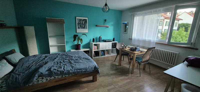 Möblierte 1-Zimmerwohnung zur Untermiete zentral & naturnah Oktober bis April (1)