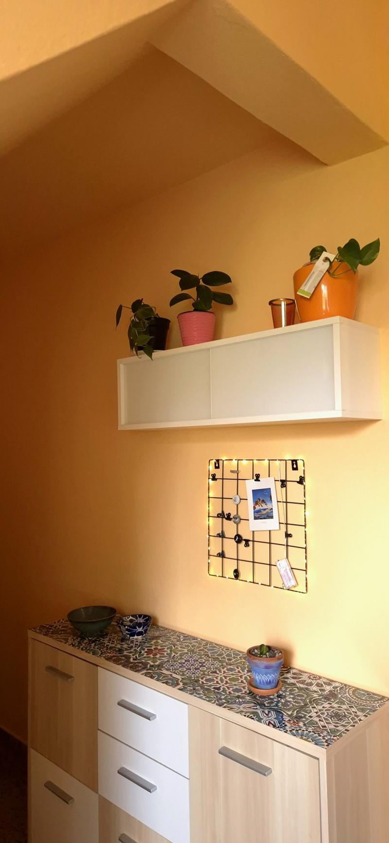 Möblierte 1-Zimmerwohnung zur Untermiete zentral & naturnah Oktober bis April (4)