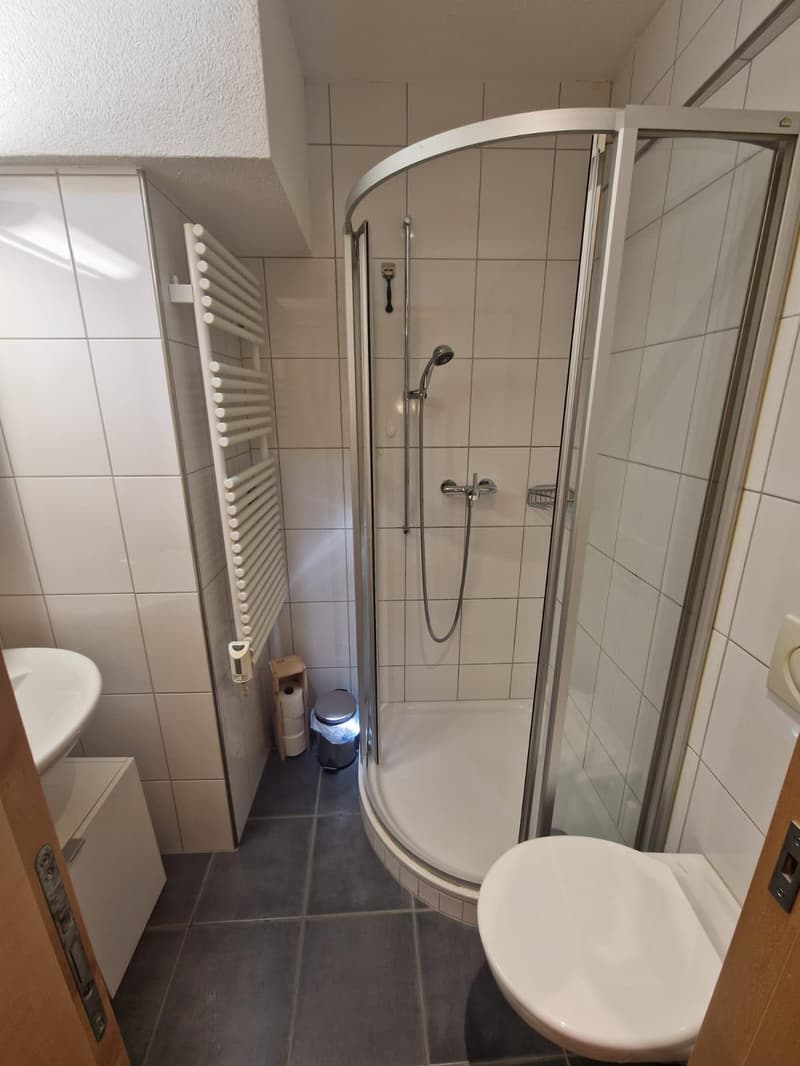 Eigenes Stockwerk in Altstadt-WG mit Schlafzimmer, eigenem Bad & Arbeitszimmer (ab 05.10. verfügbar) (8)