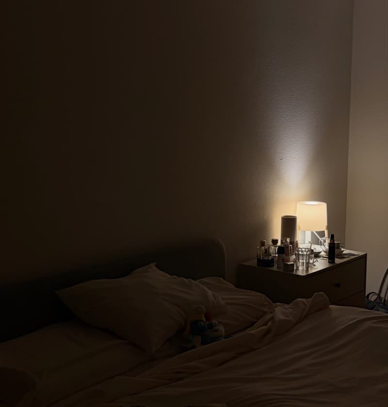 Room in shared apartment - 14.7 m2 - available from now (4)