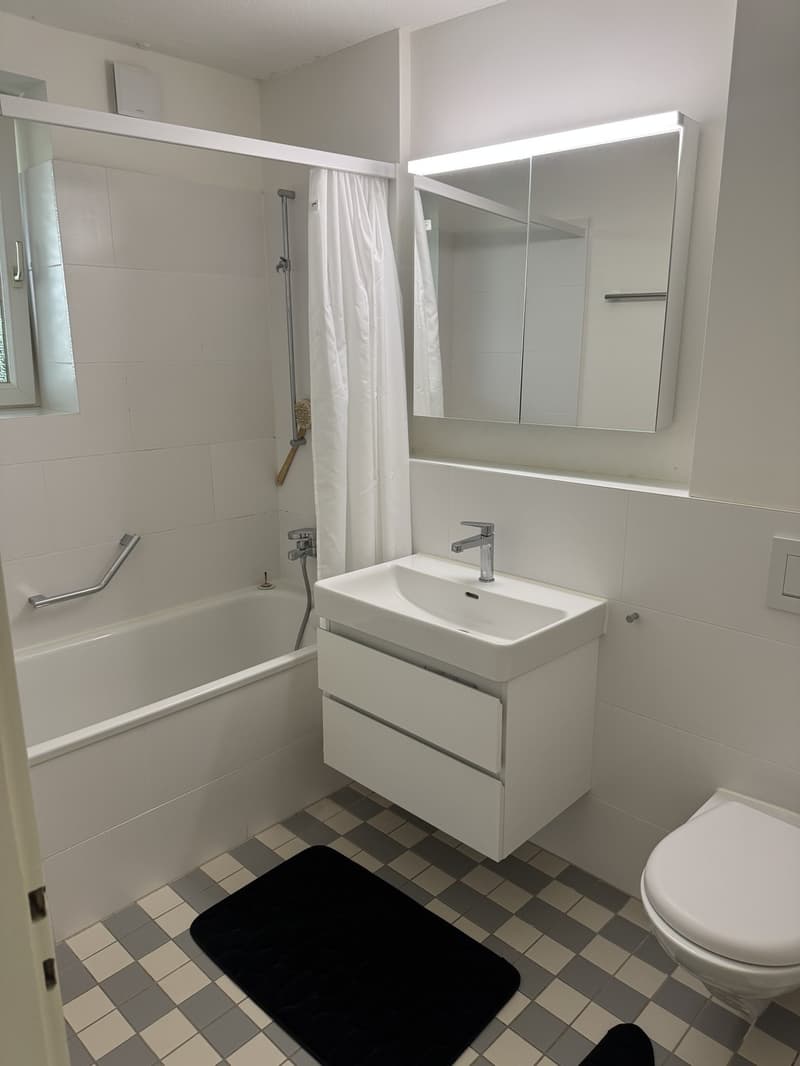 GREAT OPPORTUNITY  Fully Furnished 2-Room Apartment in Zurich (4)