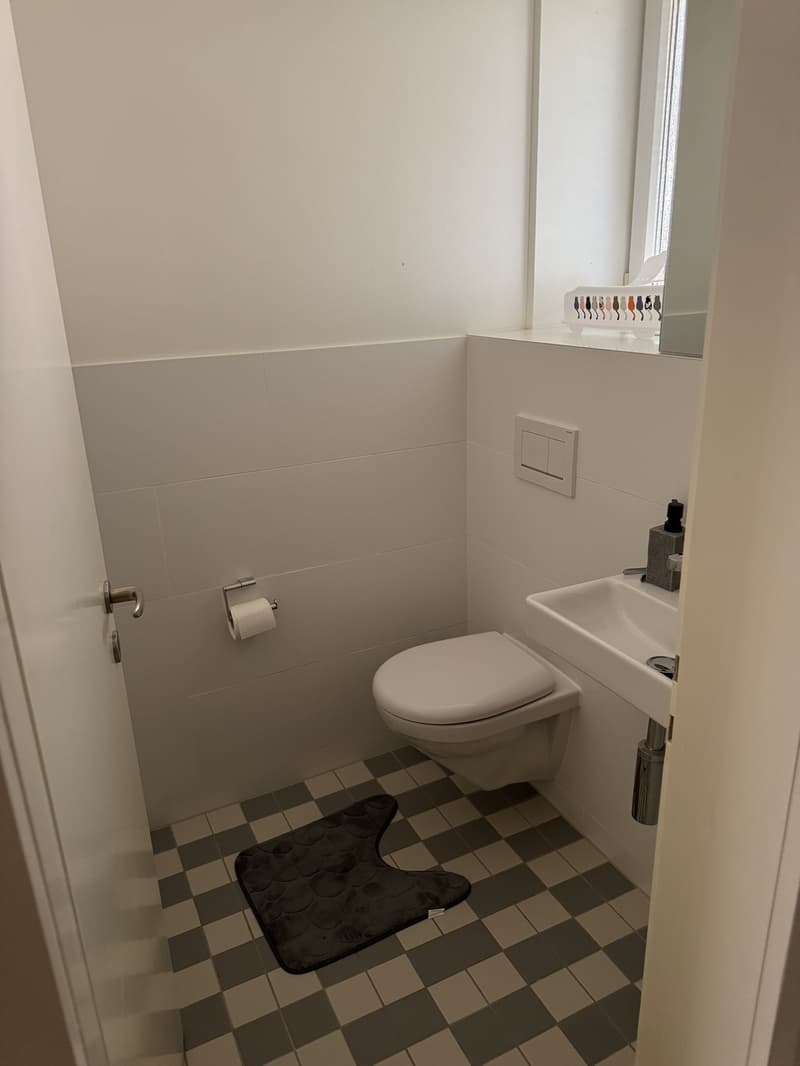 GREAT OPPORTUNITY  Fully Furnished 2-Room Apartment in Zurich (5)