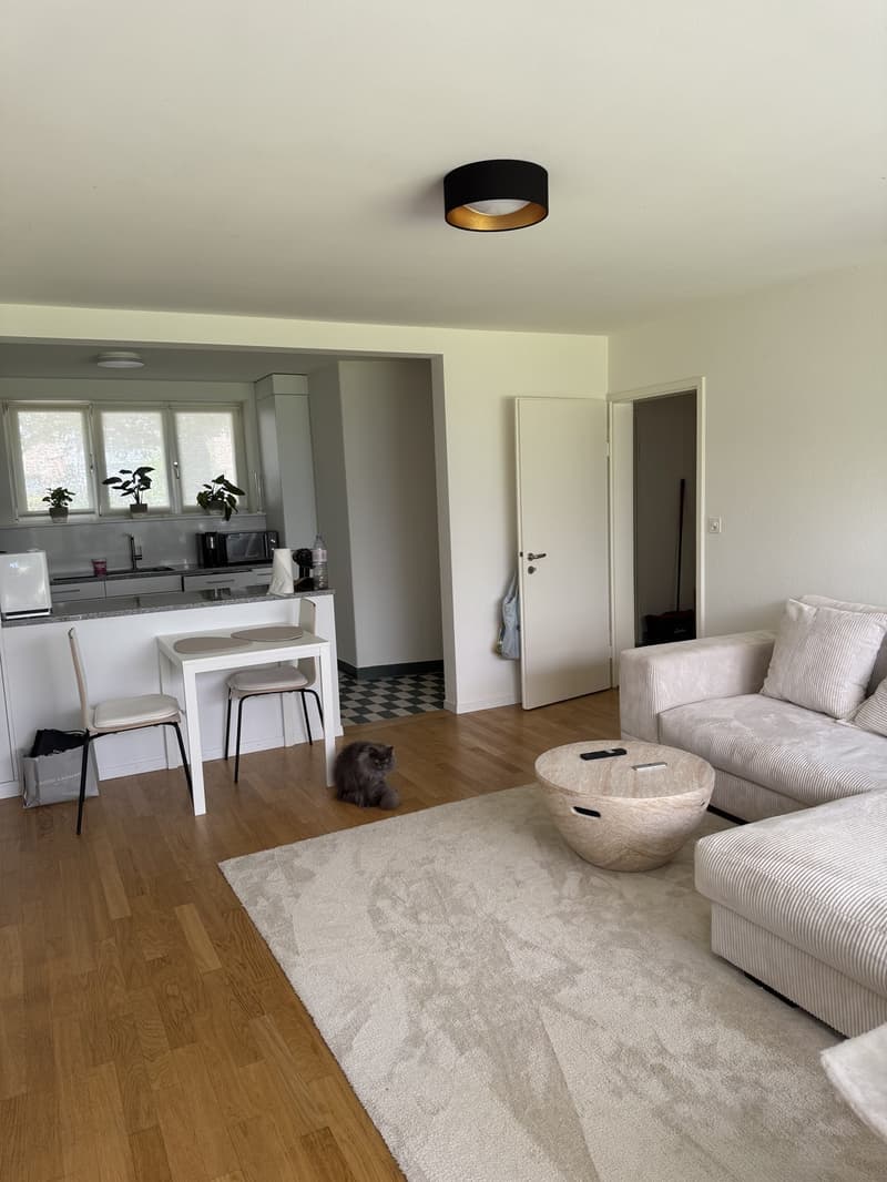 GREAT OPPORTUNITY  Fully Furnished 2-Room Apartment in Zurich (9)