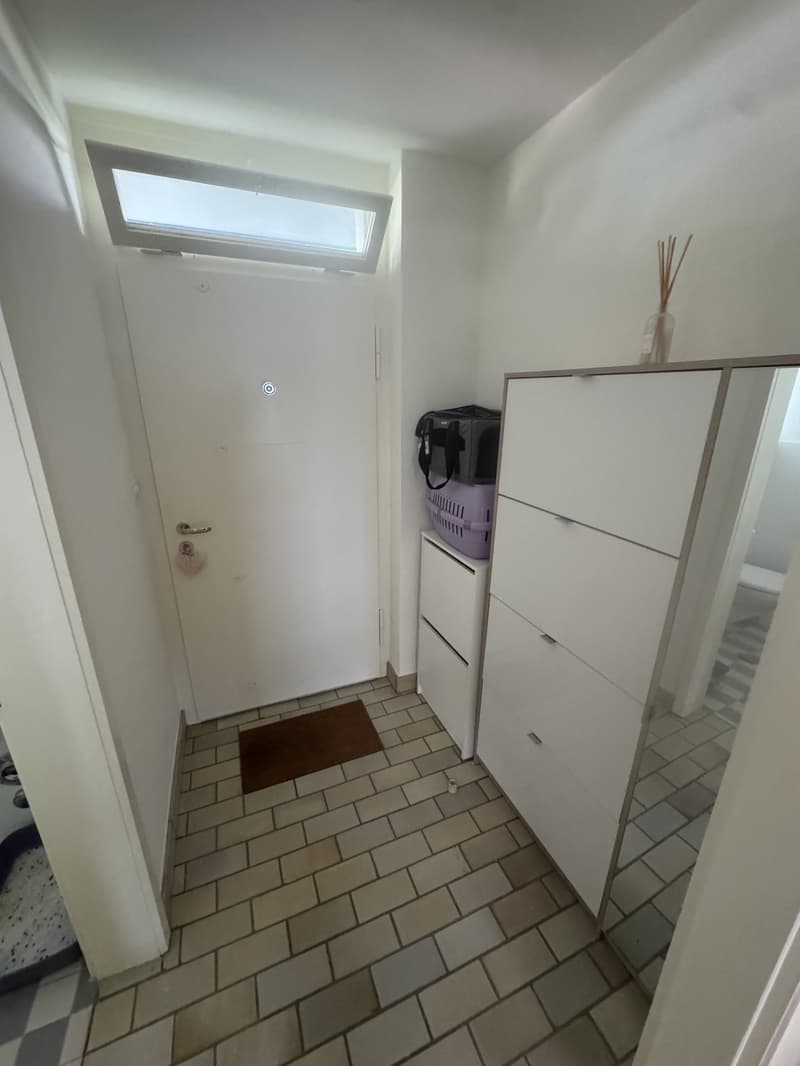 GREAT OPPORTUNITY  Fully Furnished 2-Room Apartment in Zurich (7)