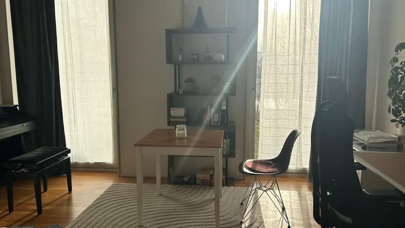 TEMPORARY SUBLEASE FOR ETH STUDENTS ONLY, Studio on Hönggerberg (3)