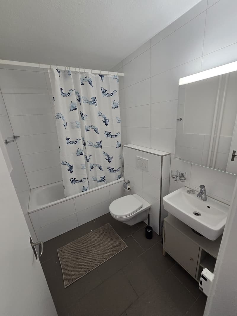 Grosses WG Zimmer an Toplage zu vermieten (5)