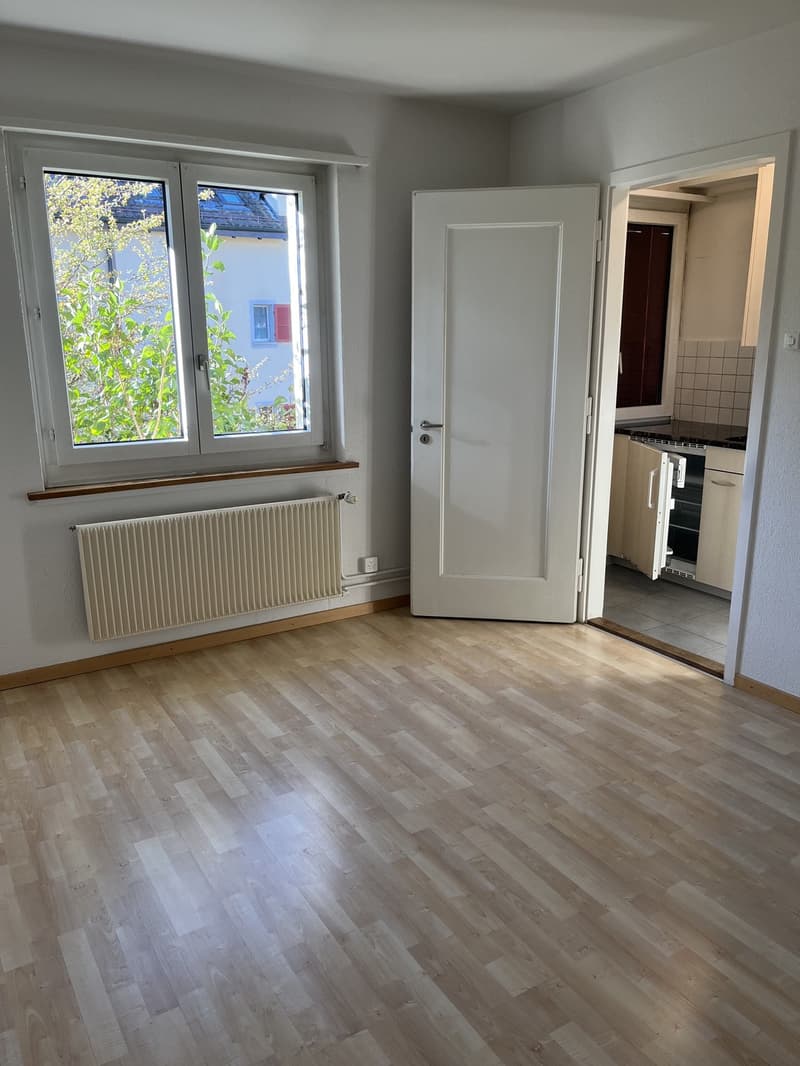 2-Zimmer-Wohnung, 38 m² ab sofort verfügbar (1)