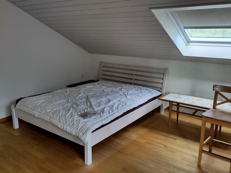 neue 5er-Haus-WG (5)