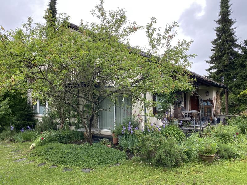 neue 5er-Haus-WG (8)
