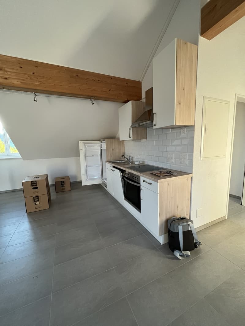 Gemütliche Dachwohnung (3)