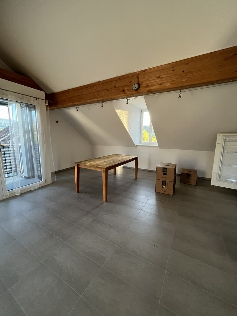 Gemütliche Dachwohnung (2)