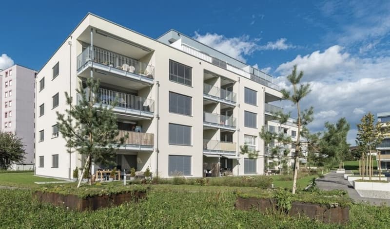 3 ½ Zimmer-Wohnung, 4665 Oftringen (2)