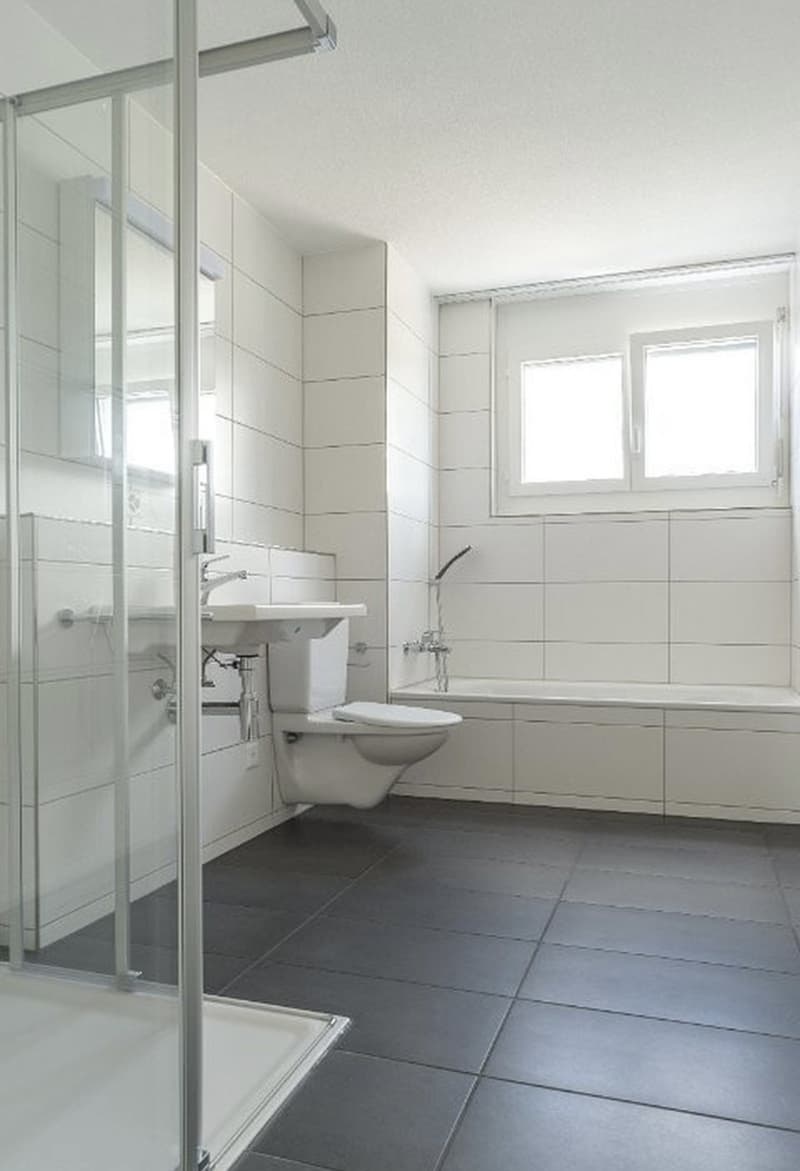 3 ½ Zimmer-Wohnung, 4665 Oftringen (8)
