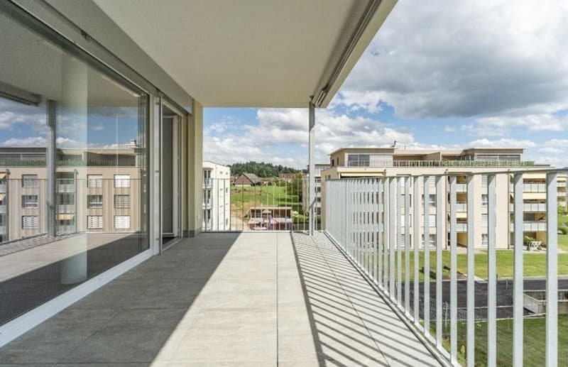3 ½ Zimmer-Wohnung, 4665 Oftringen (7)