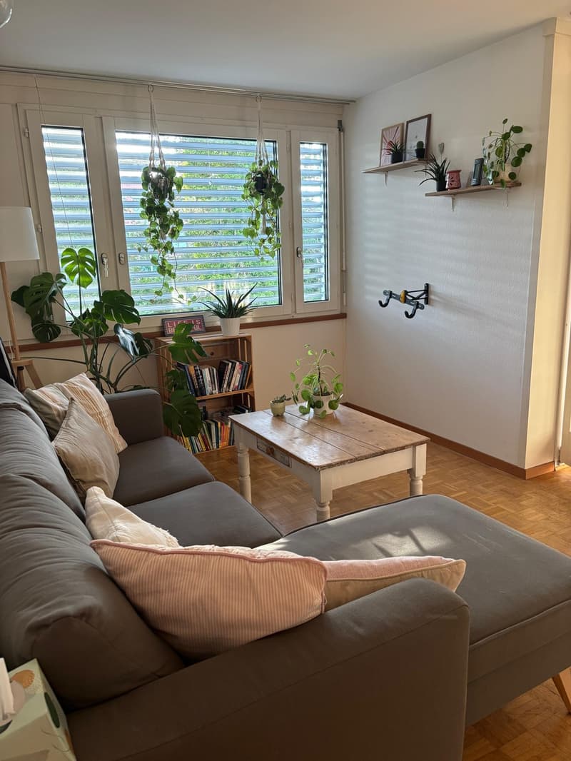 Möblierte 2.5-Zimmer Wohnung zur Untermiete (4)