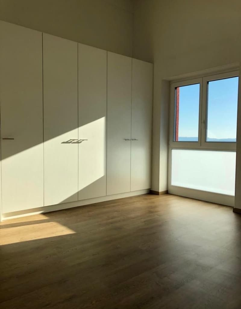 À reprendre - Magnifique appartement de 4,5 pièces avec vue sur le lac à Neuchâtel (4)