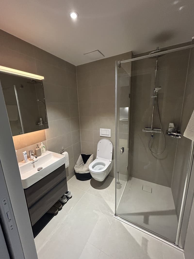 Sublet fully furnished 1.5-room apartment in Zürich 8051 (3)