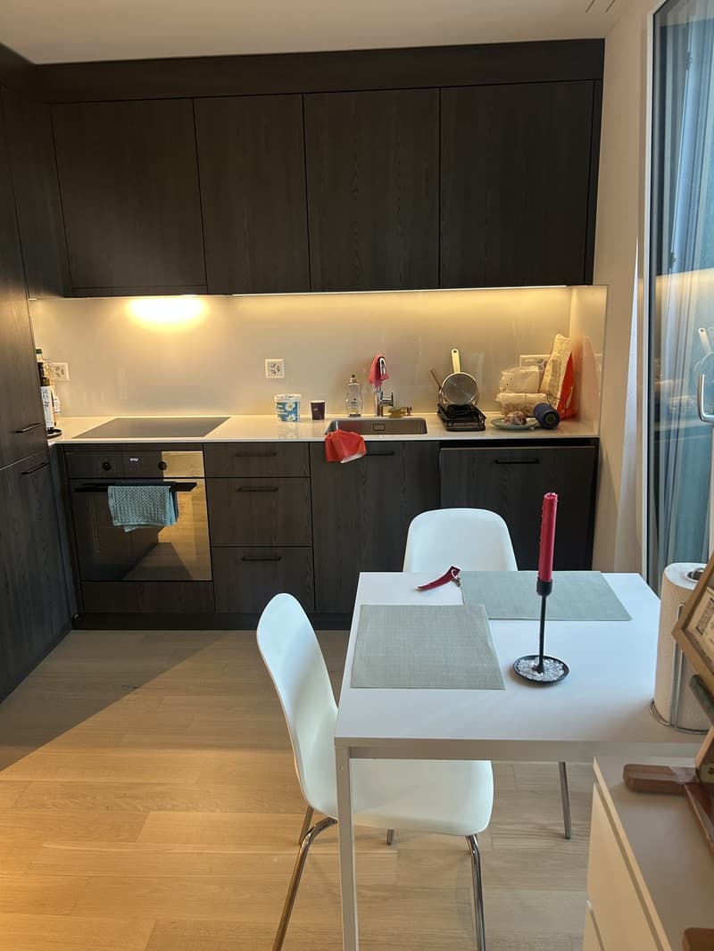 Sublet fully furnished 1.5-room apartment in Zürich 8051 (2)