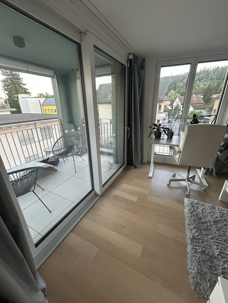 Sublet fully furnished 1.5-room apartment in Zürich 8051 (5)