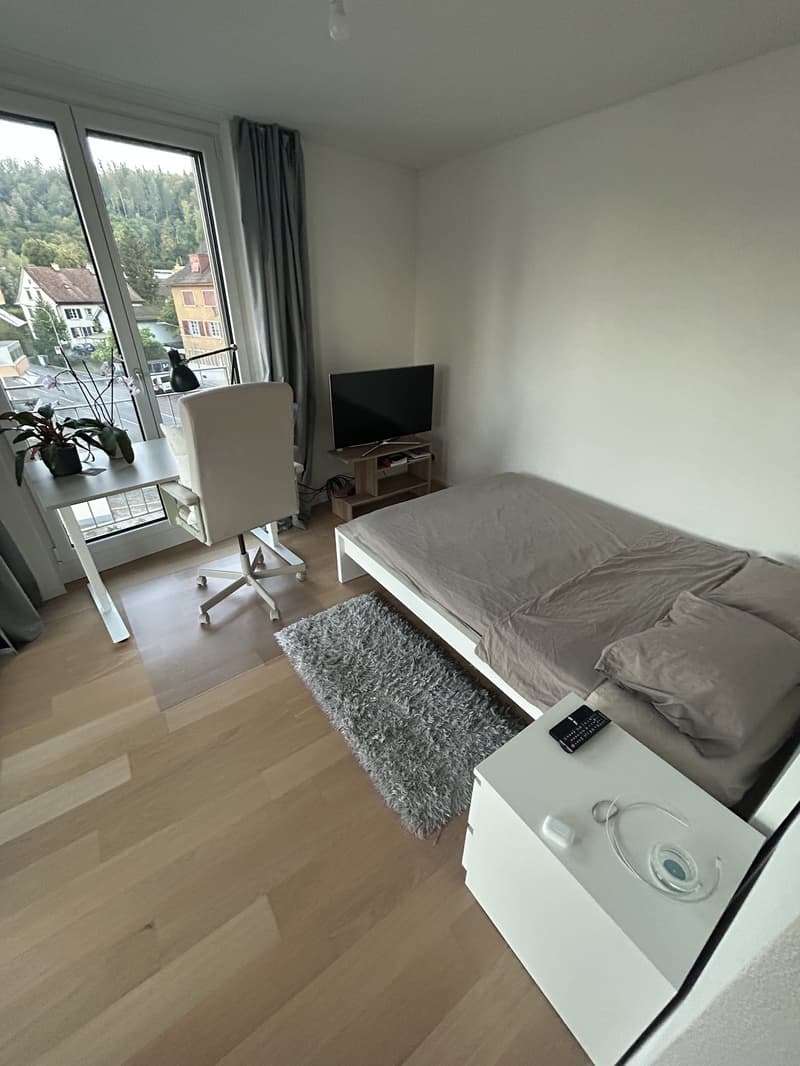 Sublet fully furnished 1.5-room apartment in Zürich 8051 (4)