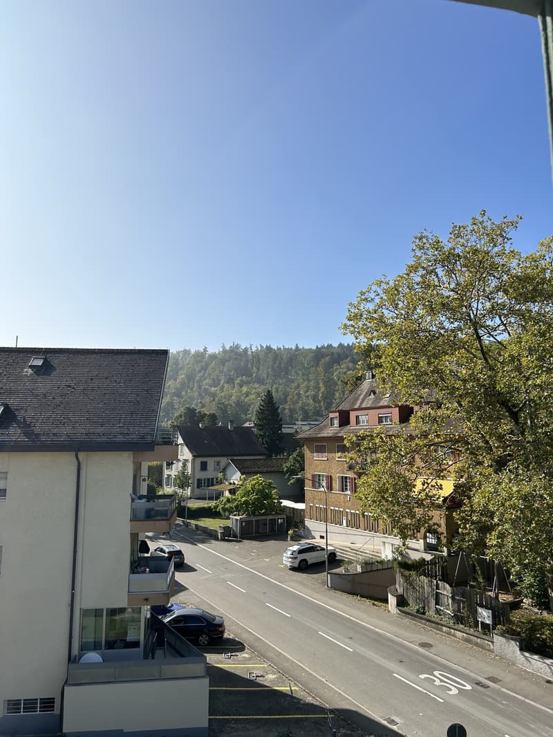 Sublet fully furnished 1.5-room apartment in Zürich 8051 (6)