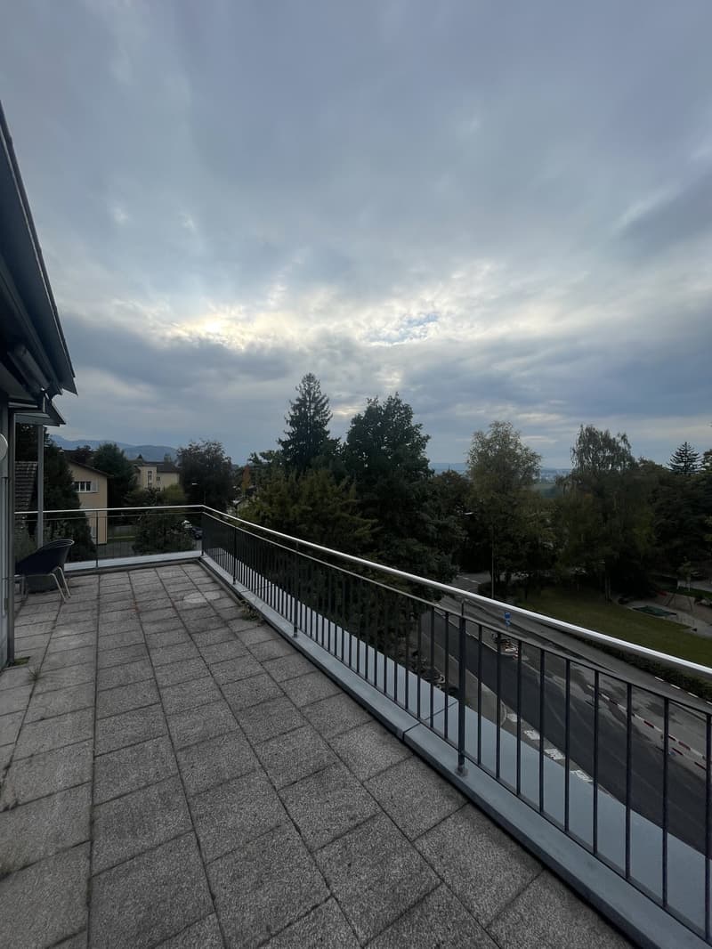 3½-Zimmer-Dachwohnung im Wesemlin, Luzern per 1. November 2026 (3)