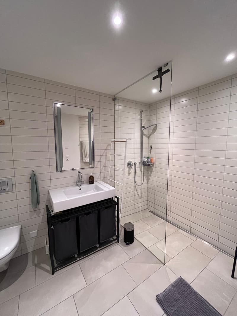 Centrally located, furnished apartment (6)
