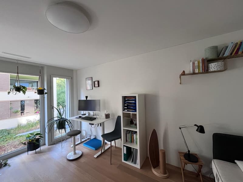 Centrally located, furnished apartment (4)