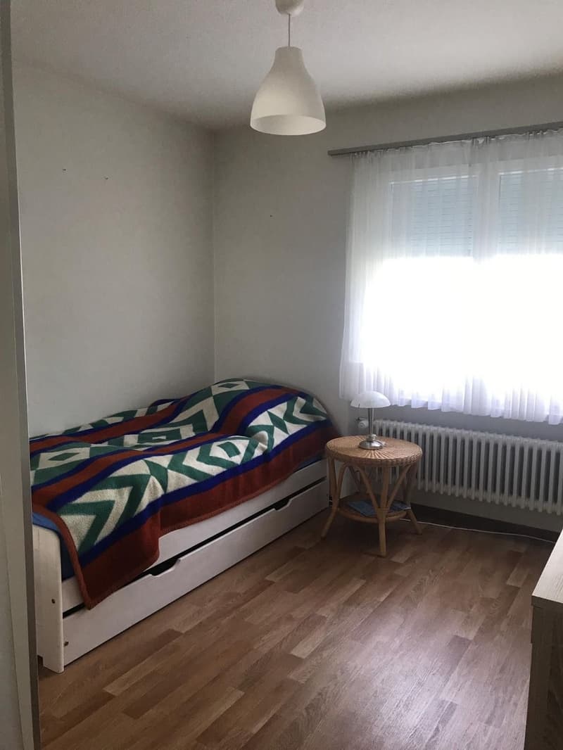 4 - Zimmer Wohnung (3)