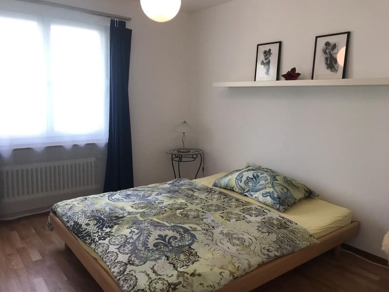 4 - Zimmer Wohnung (4)