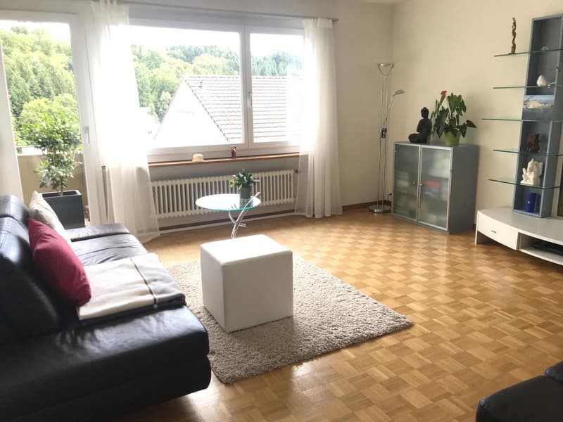 4 - Zimmer Wohnung (9)