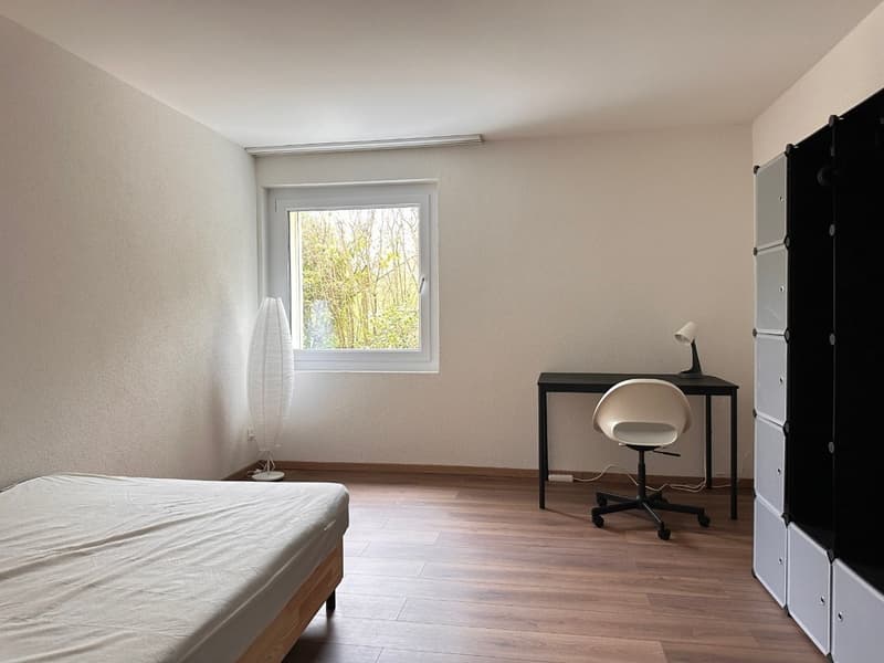 Room in shared apartment (1)