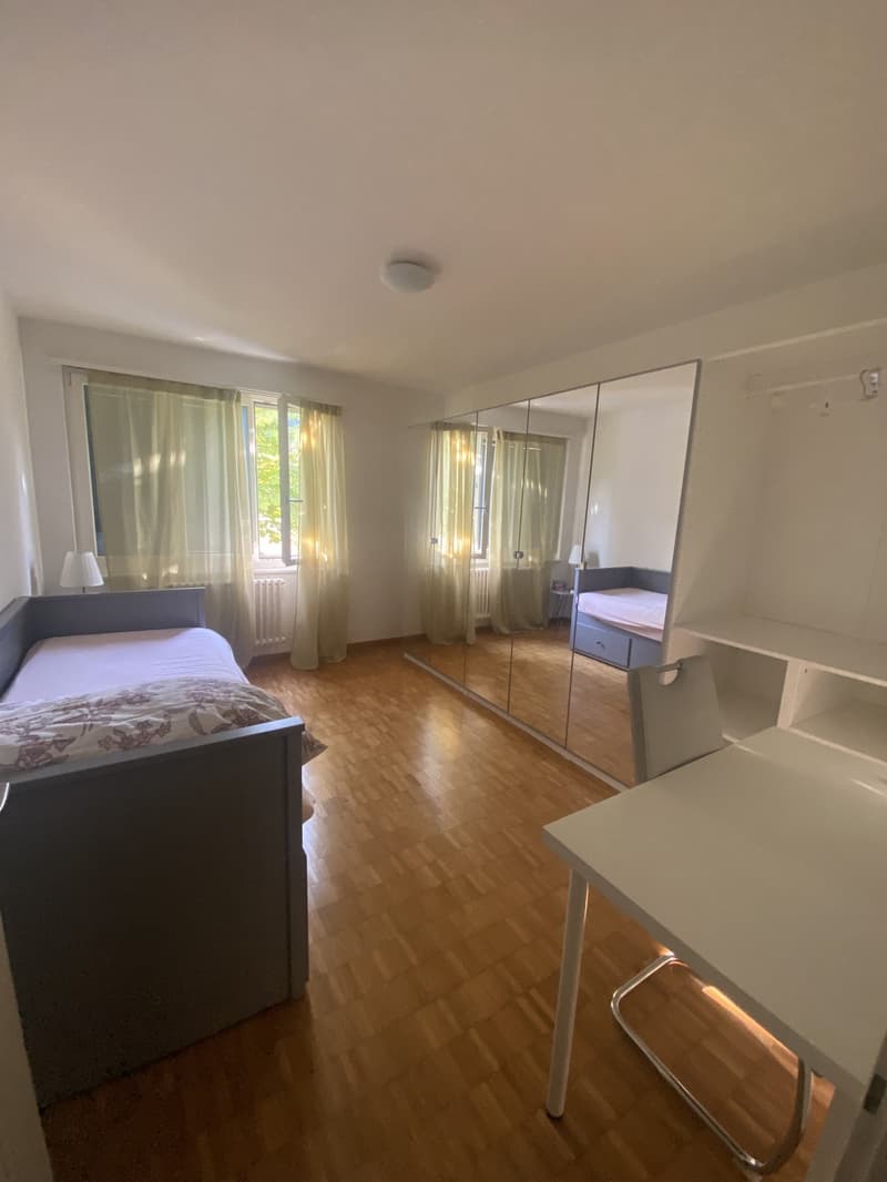 FULLY FURNISHED ROOM IN A SUPER-ORGANISED APARTMENT FOR A TINY-TINY PRICE | ADLISWIL (2)