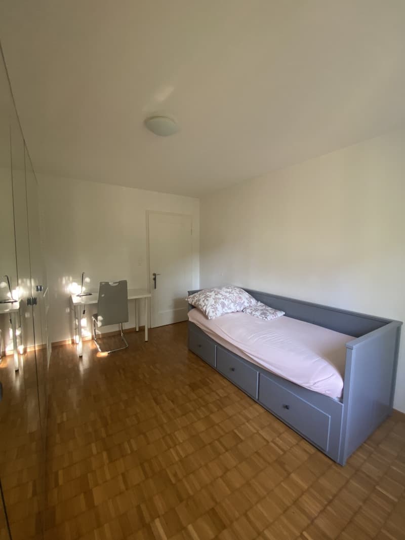 FULLY FURNISHED ROOM IN A SUPER-ORGANISED APARTMENT FOR A TINY-TINY PRICE | ADLISWIL (1)
