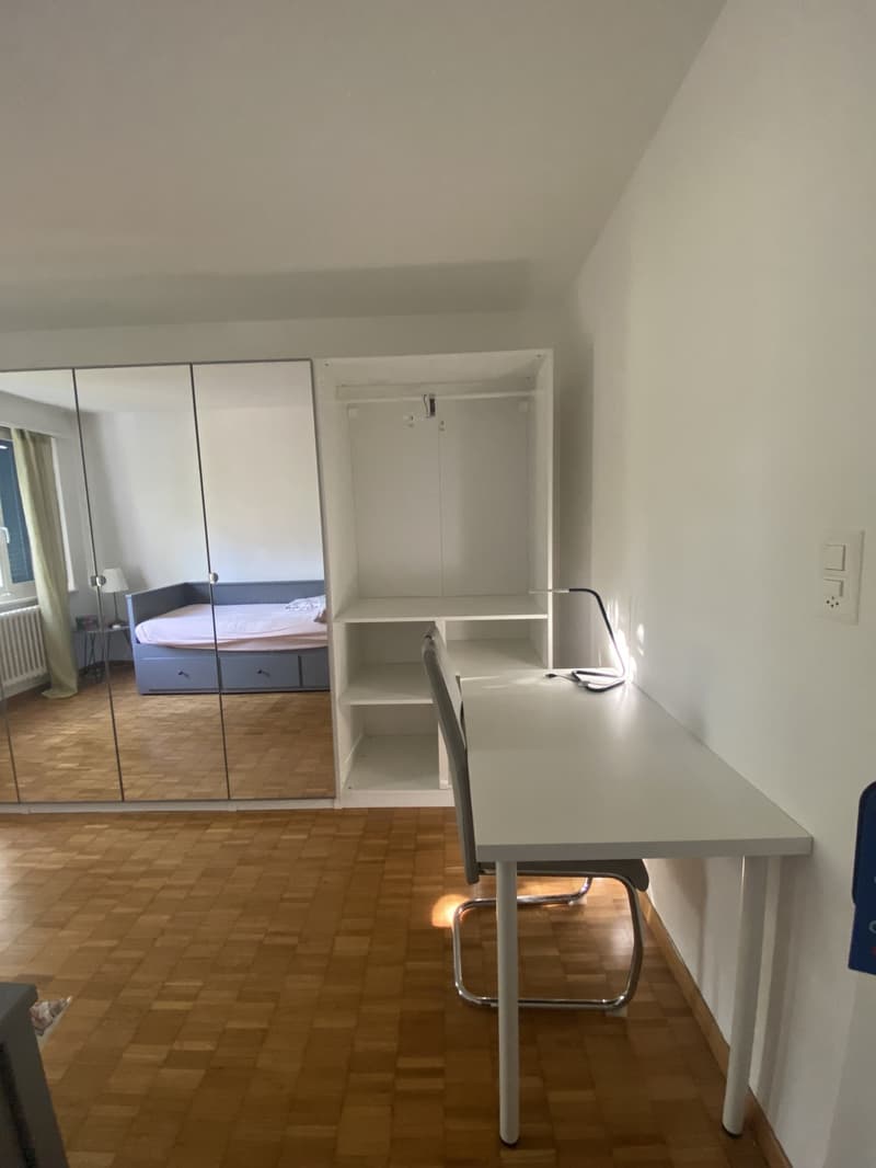 FULLY FURNISHED ROOM IN A SUPER-ORGANISED APARTMENT FOR A TINY-TINY PRICE | ADLISWIL (3)