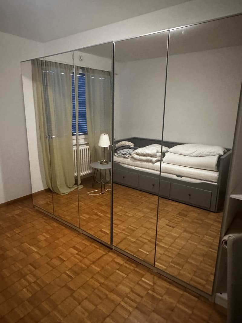 FULLY FURNISHED ROOM IN A SUPER-ORGANISED APARTMENT FOR A TINY-TINY PRICE | ADLISWIL (4)