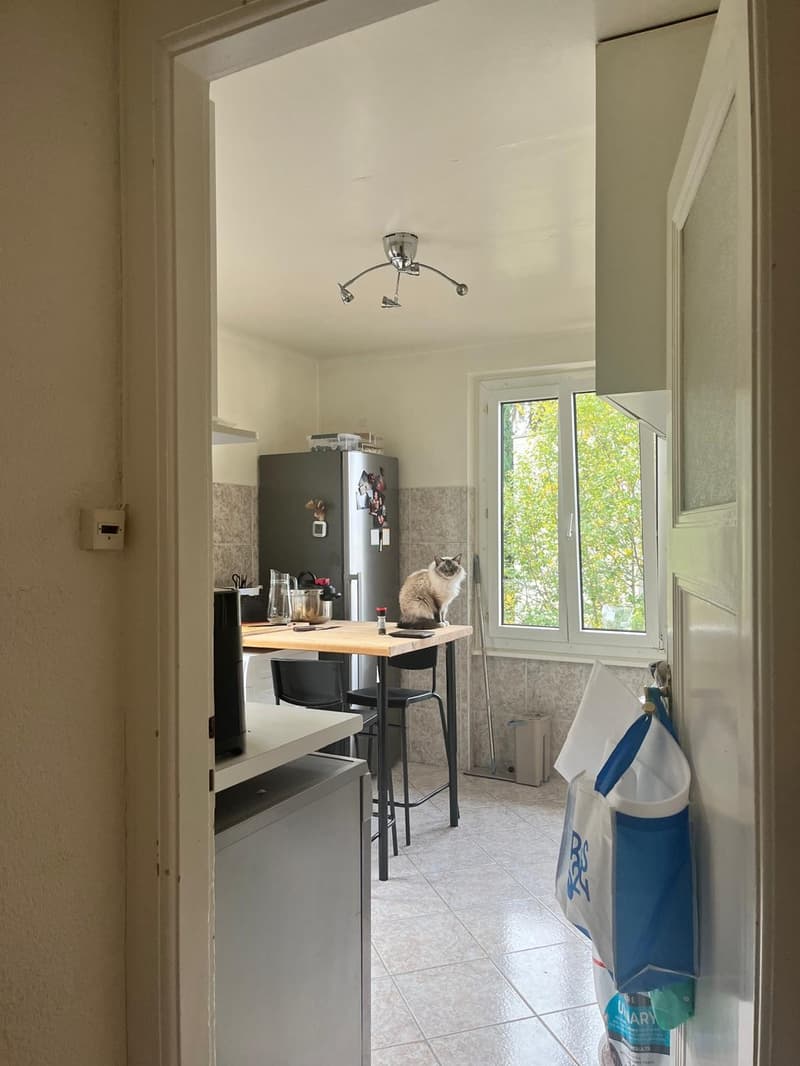 Appartement 3.5 pièces (3)