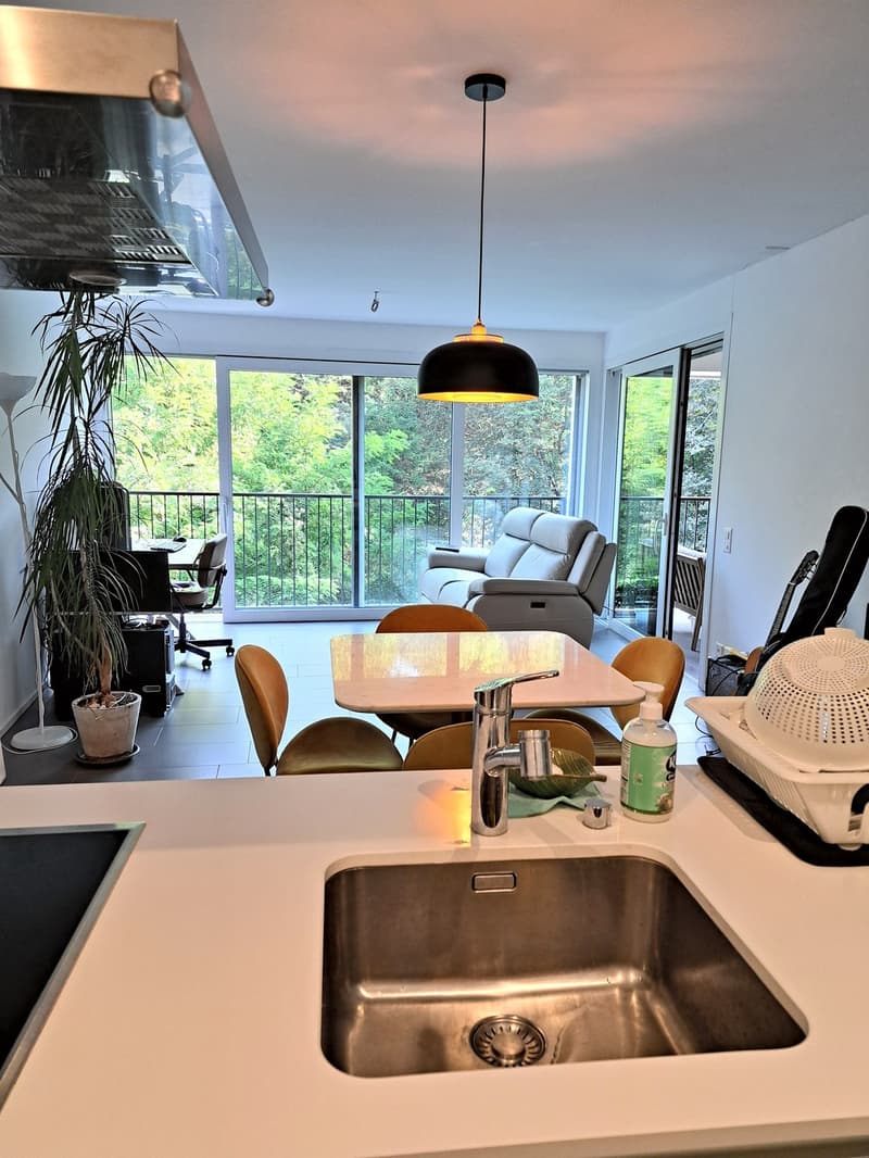 2.5 locali con terrazza coperta nel verde e box auto Pedrinate (2)