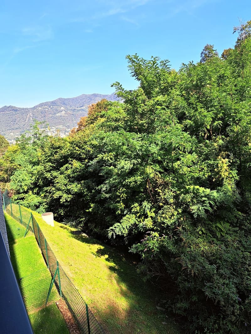 2.5 locali con terrazza coperta nel verde e box auto Pedrinate (8)
