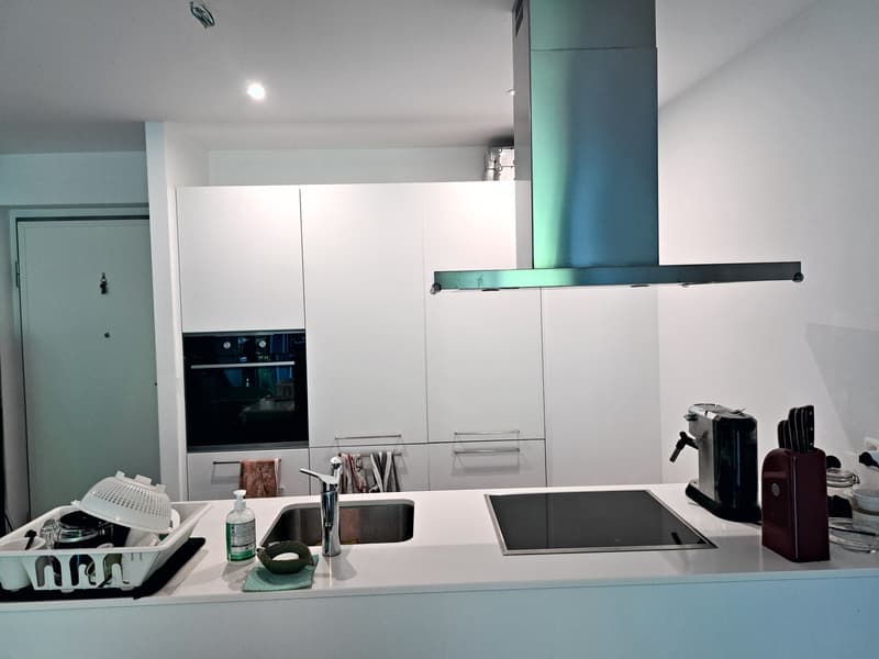 2.5 locali con terrazza coperta nel verde e box auto Pedrinate (3)
