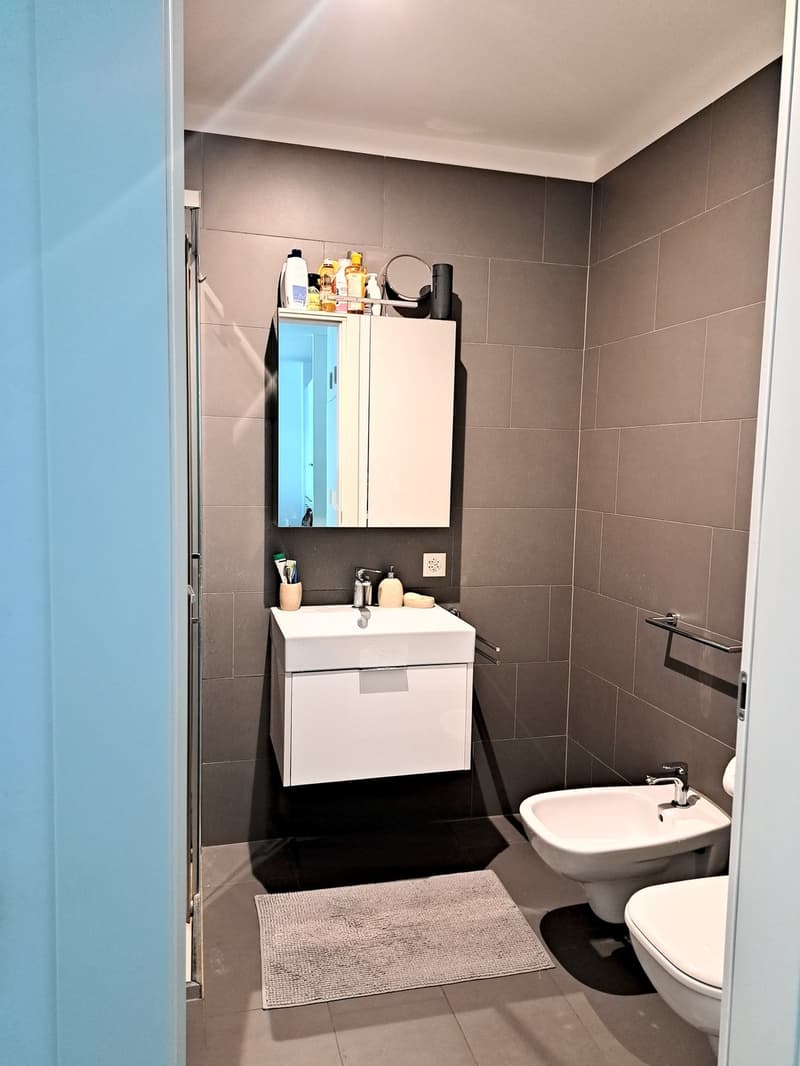 2.5 locali con terrazza coperta nel verde e box auto Pedrinate (5)