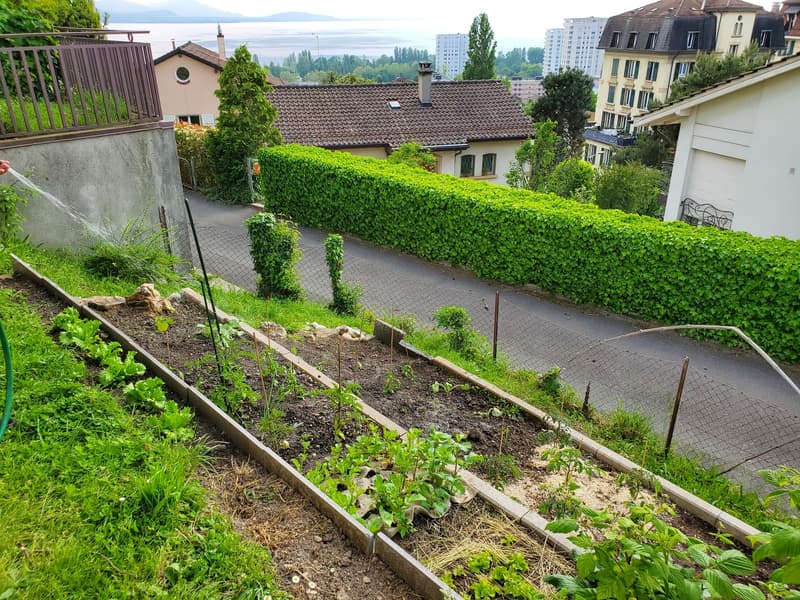 2.5 pièces à Lausanne disponible dès le 1er janvier 2027 (7)