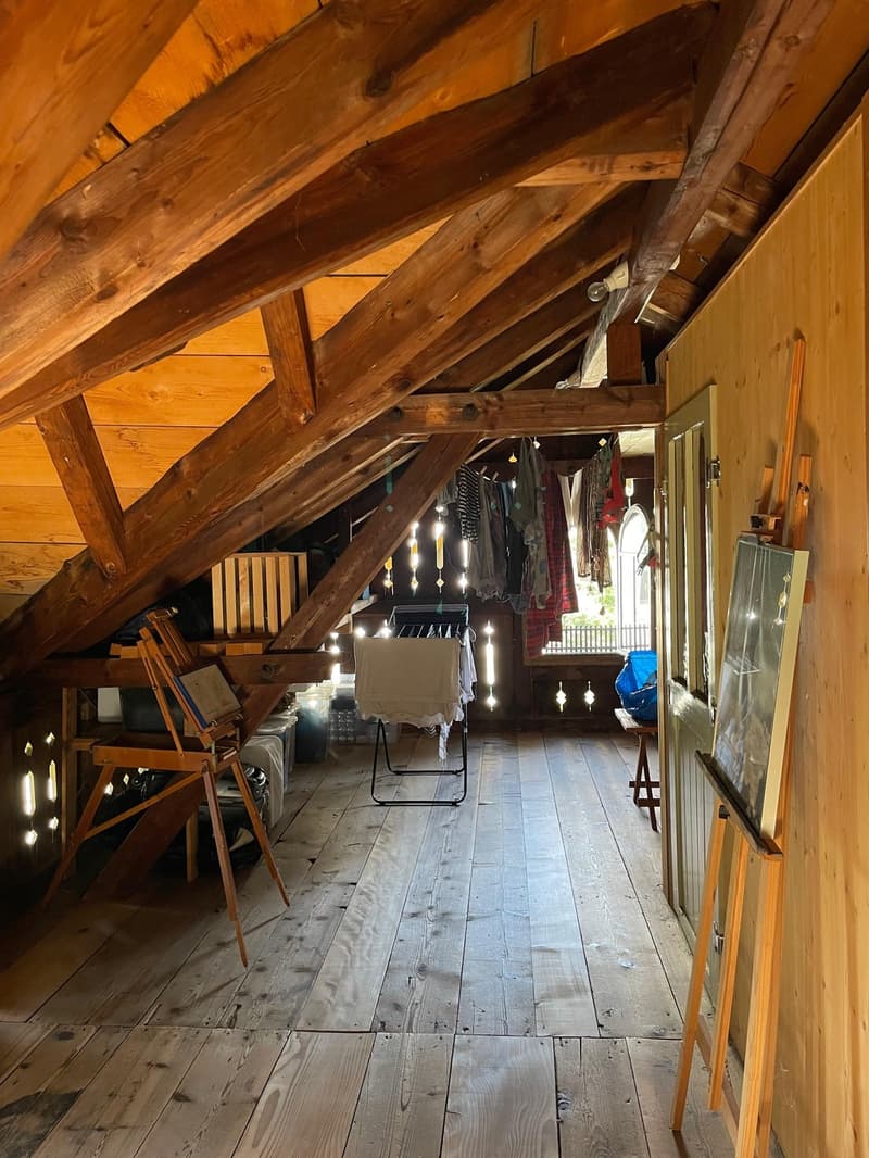 3.5 Zimmer Haus mit Garten im Zentrum von Wädenswil (7)