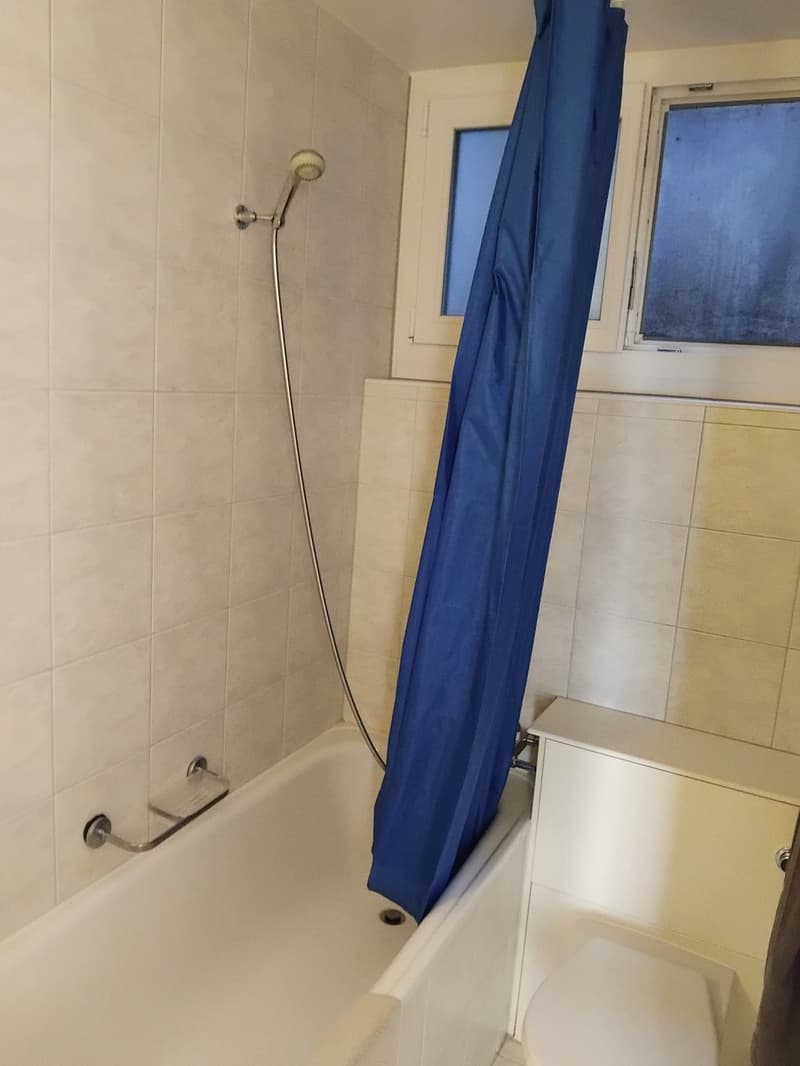 Möblierte 1.5-Zimmer-Wohnung zur Untermiete in Baden ab November (4)